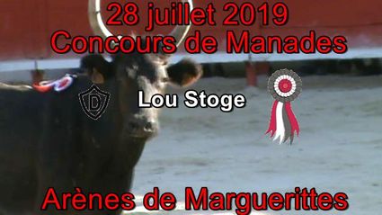 2019 07 28 Lou Stoge