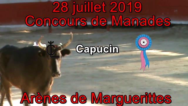 2019 07 28 Capucin