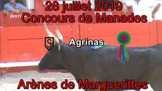 2019 07 28 Agrinas