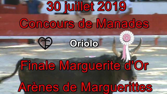 2019 07 30 Oriolo