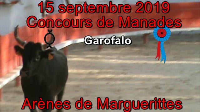 2019 09 15 Garolalo