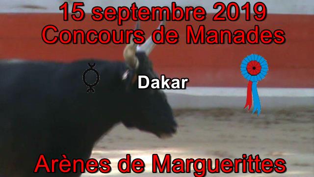 2019 09 15 Dakar