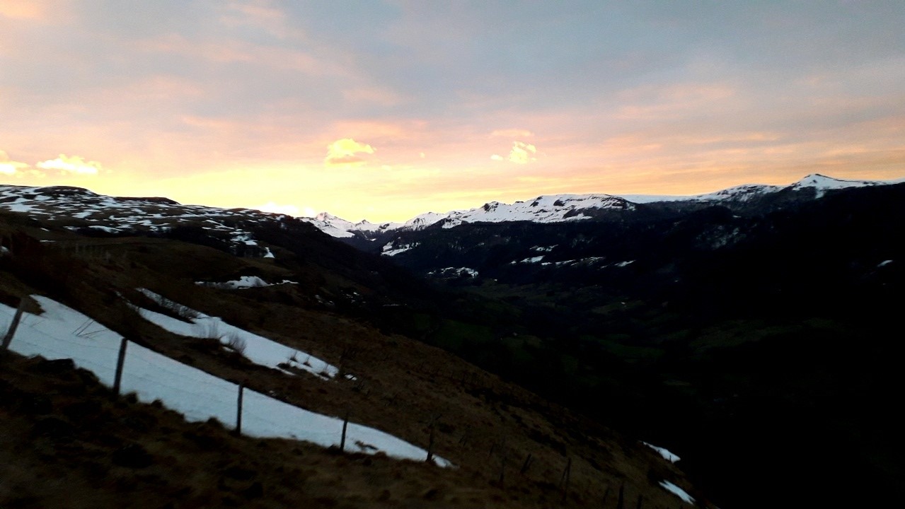 Img 20210208 wa0000