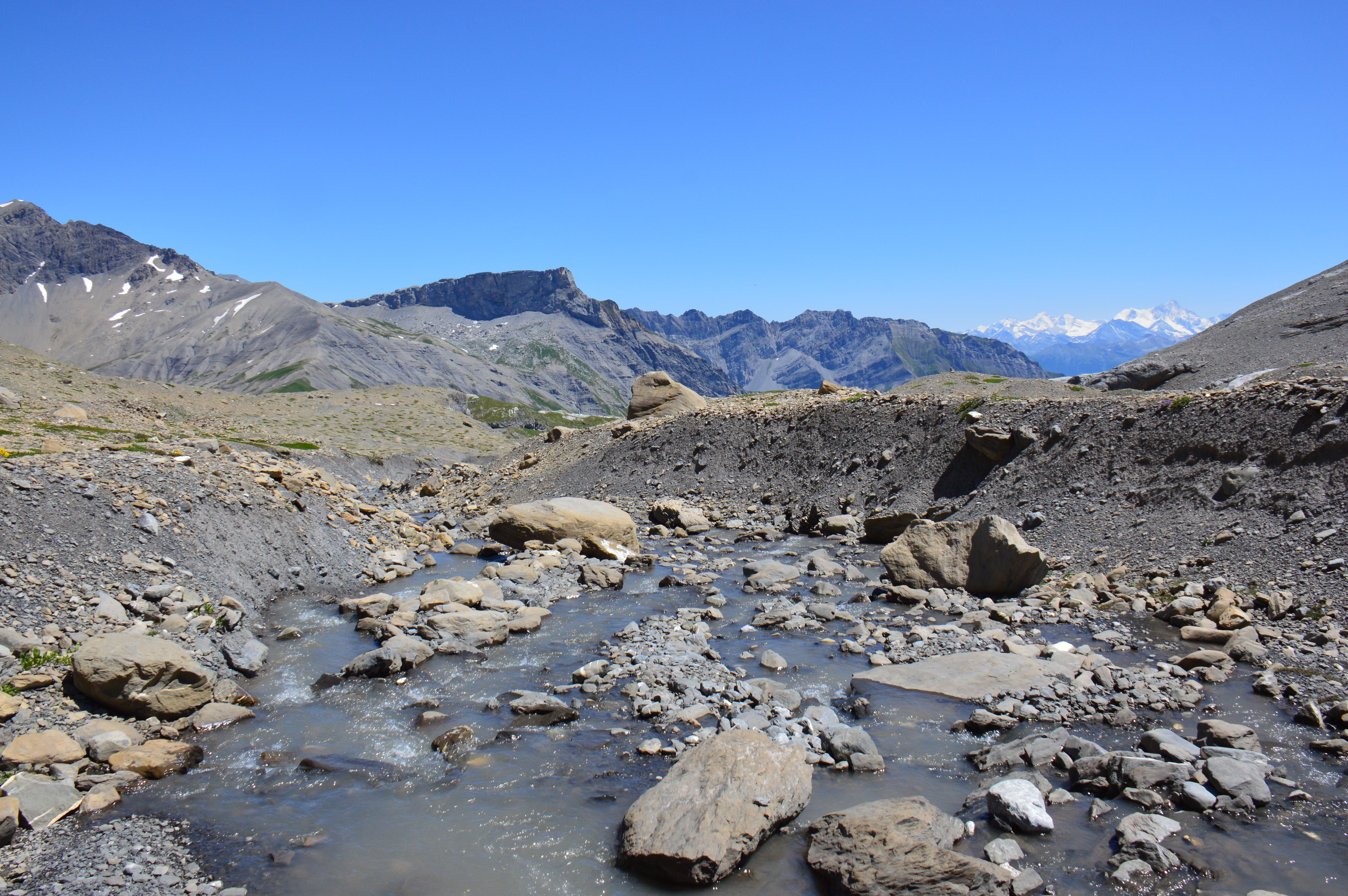 Le Lachon dans les lapiaz de Tsanfleuron / Photos de Suisse