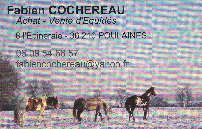 Webfabien-C-1-