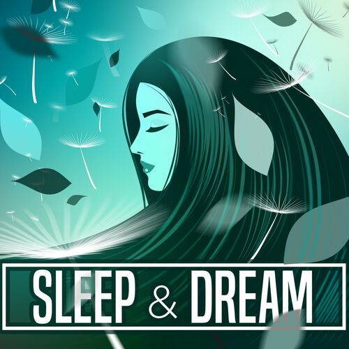 Sleep-Dream