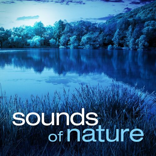 Sounds-Of-Nature