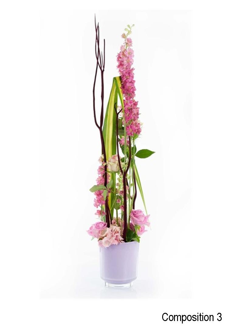 Image11