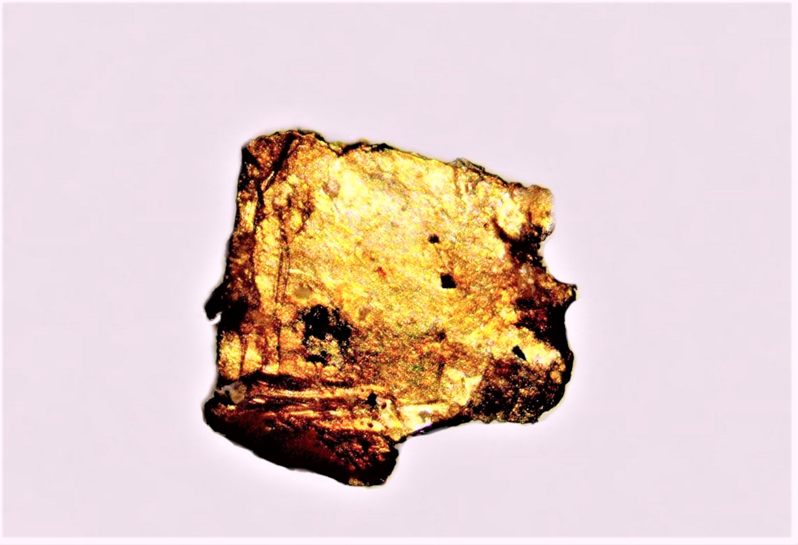13 sable provenance terrat charles orsolini