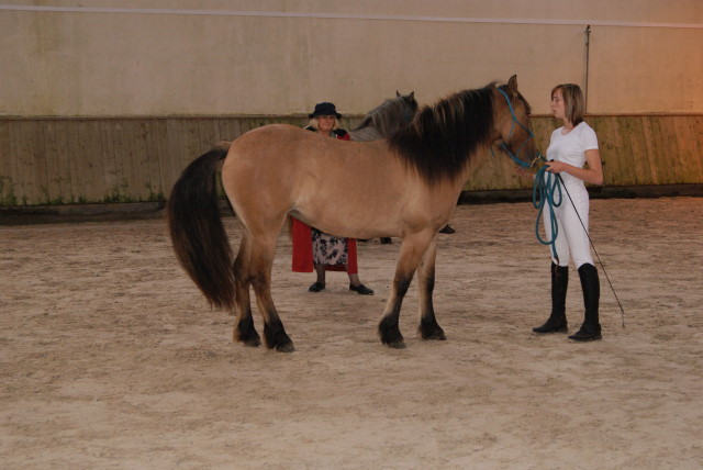 Dsc04723