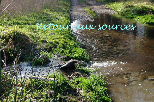 Le génie hydraulique des cisterciens