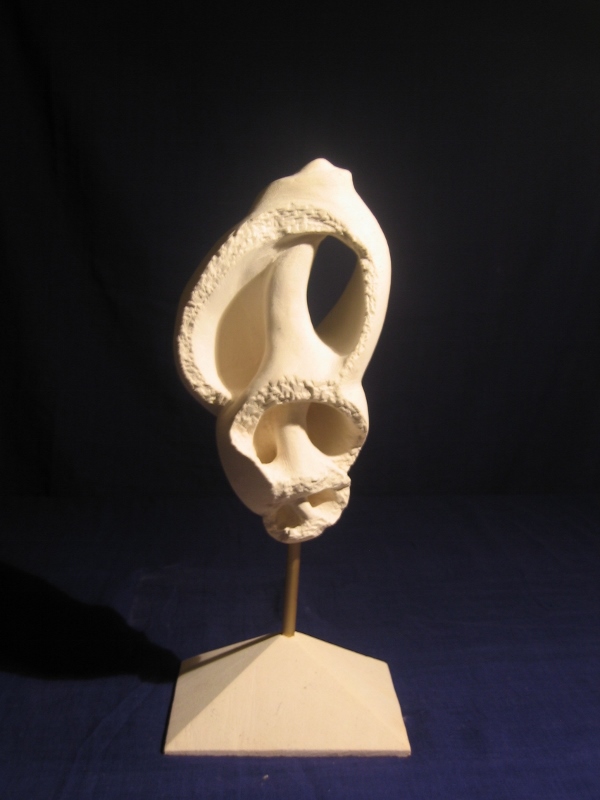 Conque meurtrie 600x800 1 