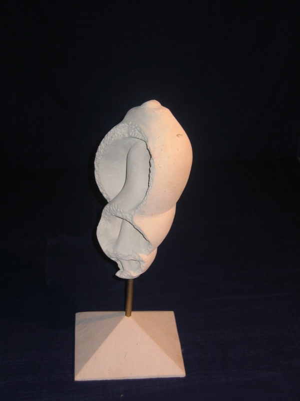 Conque meurtrie 600x800 4 