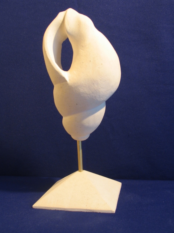 Conque meurtrie 600x800 5 