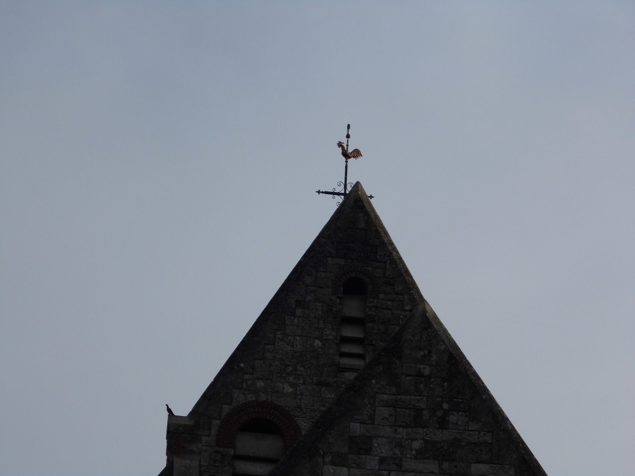 Vue du  nouveau coq qui se dresse fièrement au bout de sa croix et son paratonnerre.