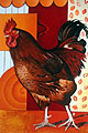Vcoq 1 