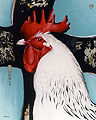 Vcoq4 1 