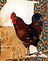 Vcoq6 1 