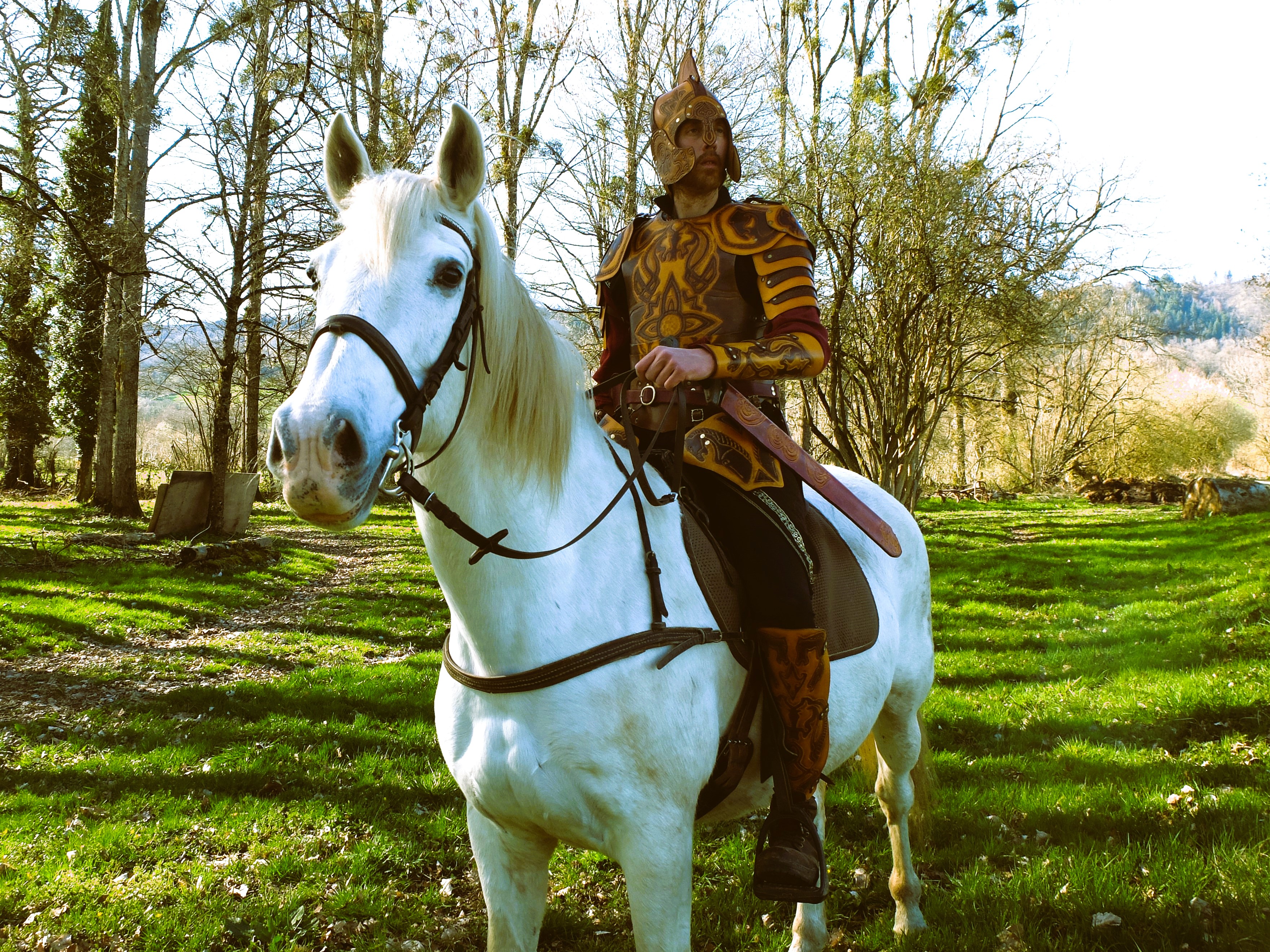 Theoden-Vandalo-1