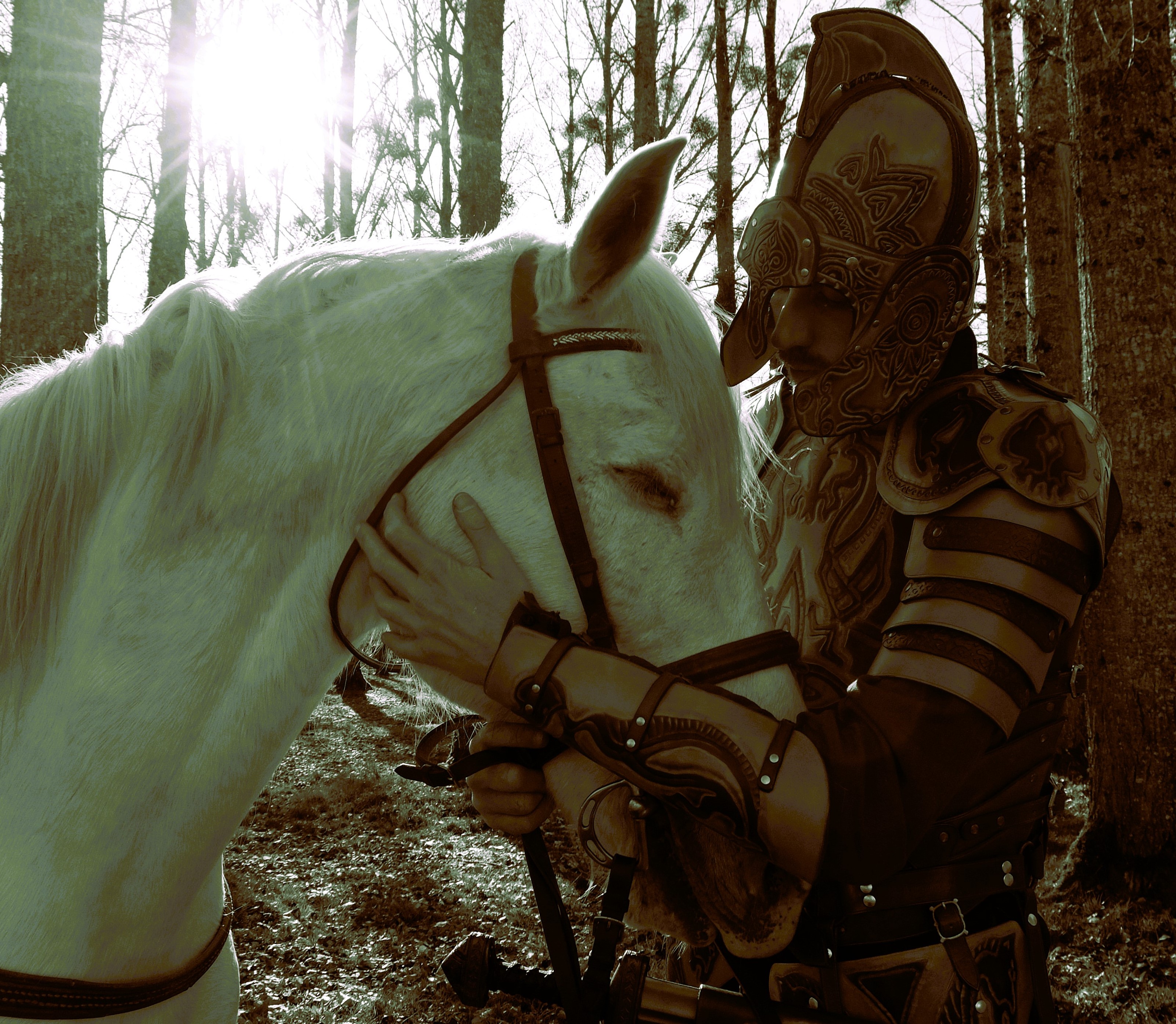 Theoden-Vandalo-2