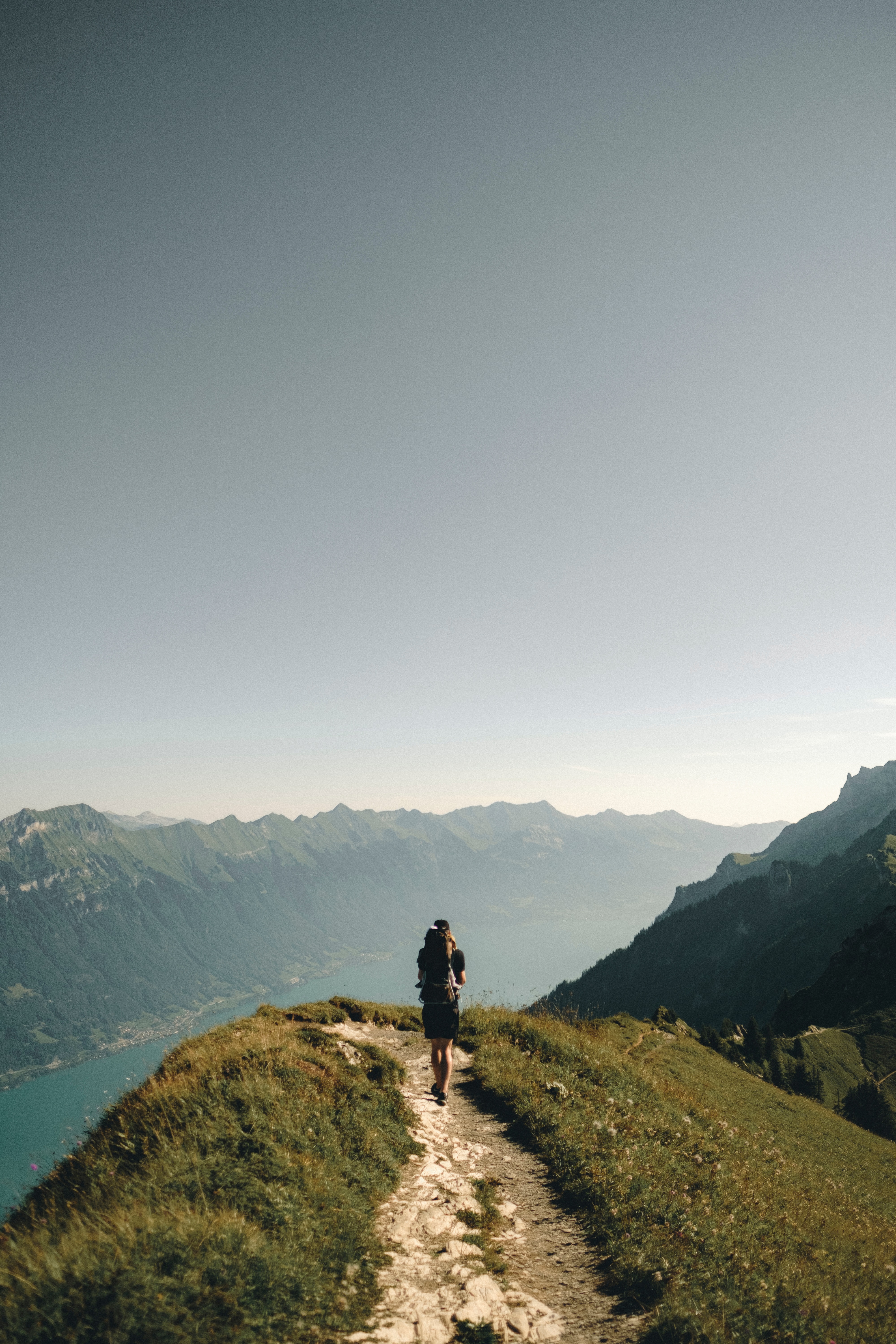 Joel jasmin forestbird znoL1m6MD k unsplash