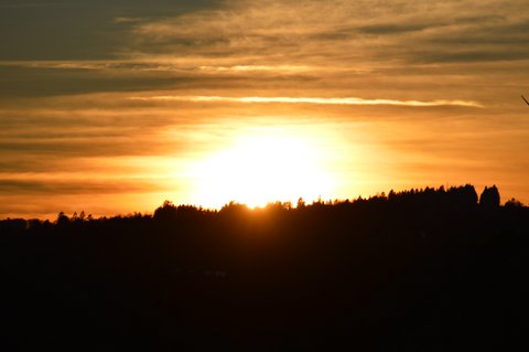 DSC 0282