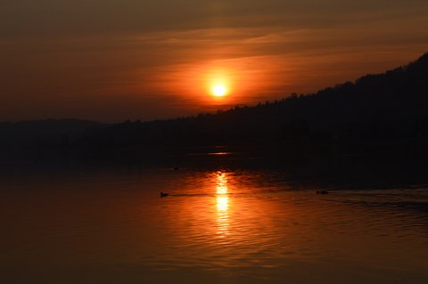 DSC 0747