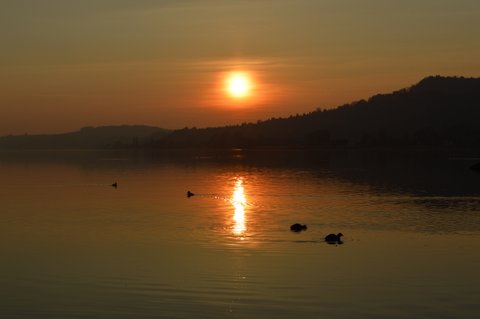 DSC 0737