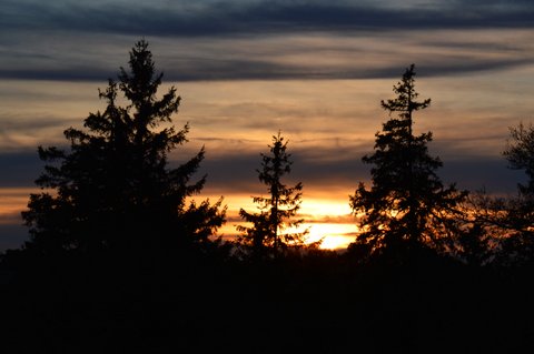 DSC 4974