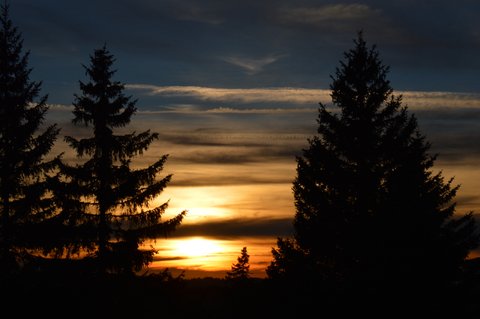 DSC 4963