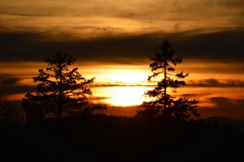 Coucher de soleil / Tête-de-Ran dans les montagnes neuchâteloises suisses