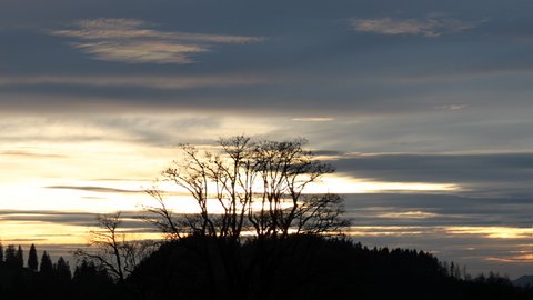 IMG 5555 1
