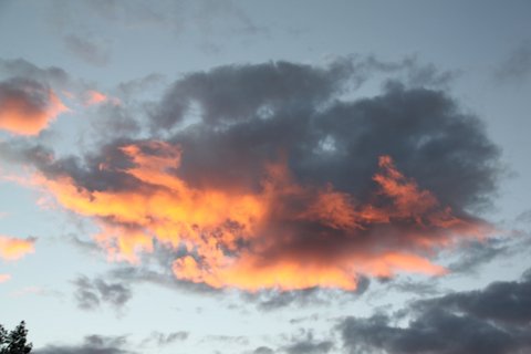 IMG 8711