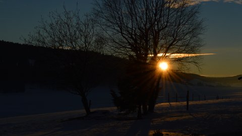 DSC 0188 1