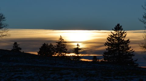 DSC 0060 1