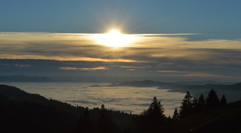DSC 0058 1