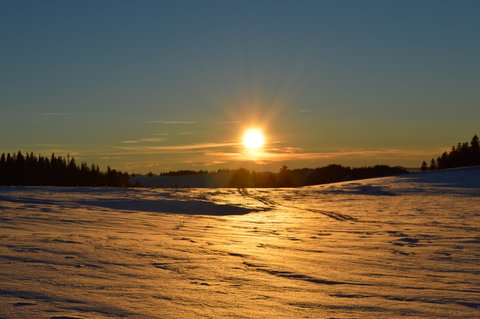 DSC 0116