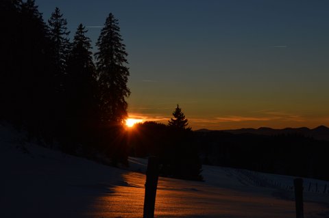 DSC 0118