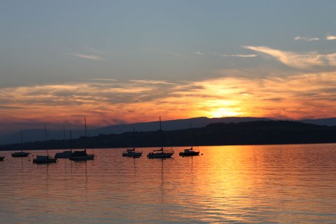 IMG 4954 