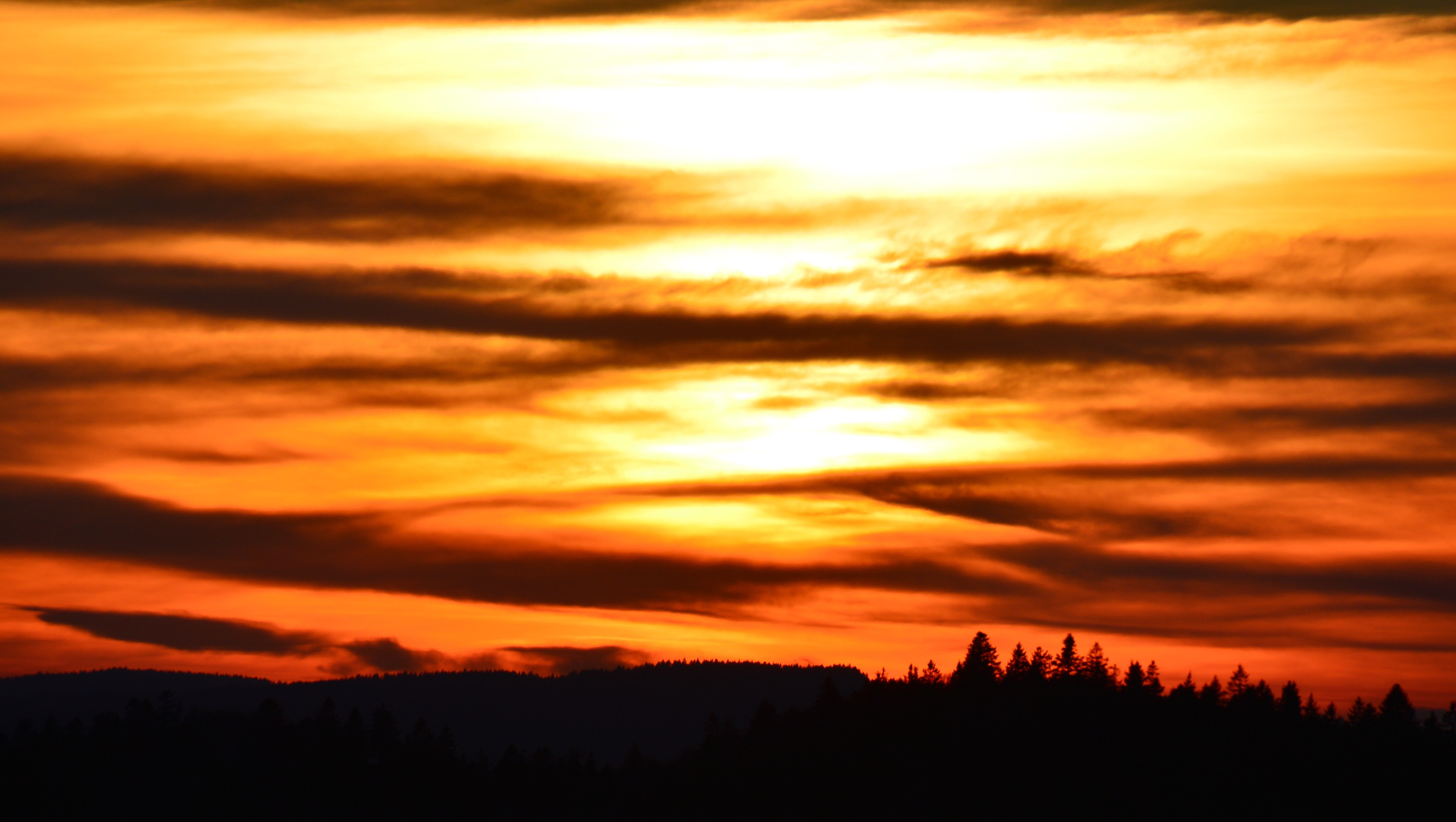 DSC 0286 c