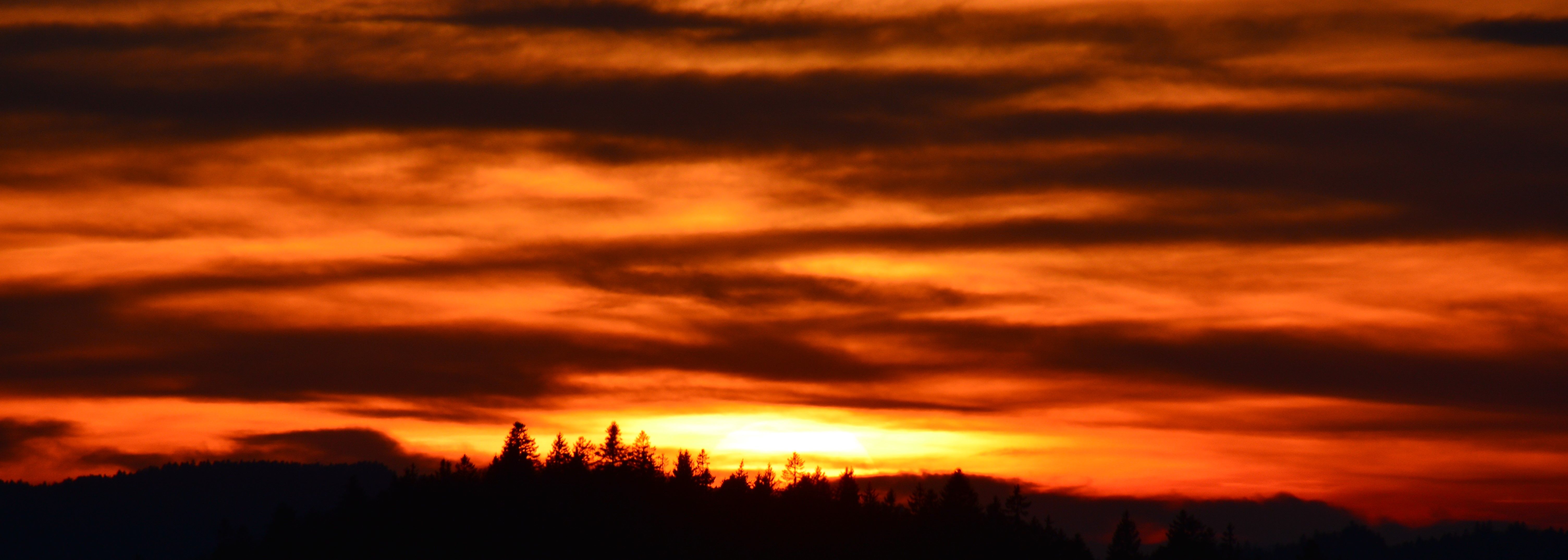 DSC 0295 c