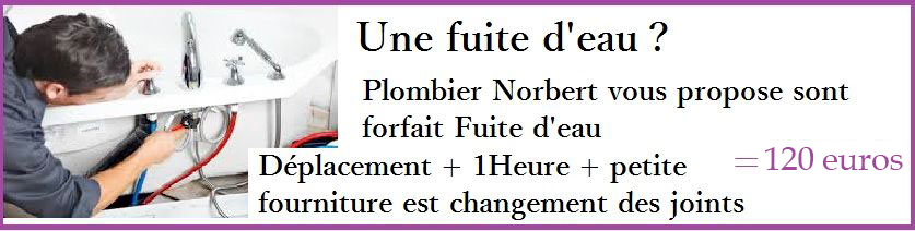 fuite d'eau courbevoie