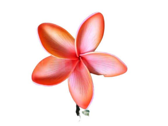 Pic-ou-pince-fleur-frangipanier-vaima-orange-7187-p-removebg-preview