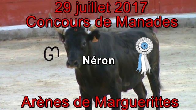 2017 07 29 Neron 0