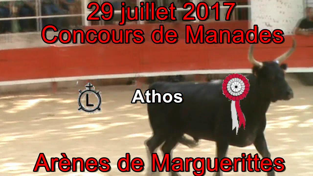2017 07 29 Athos 0