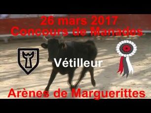 2017 03 26 Vetilleur