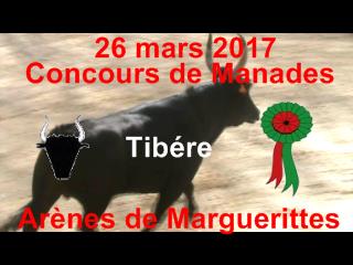 2017 03 26 Tibere