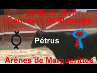2017 03 26 Petrus
