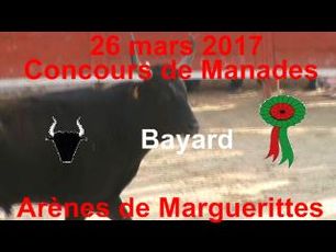 2017 03 26 Bayard