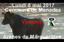 2017 05 08 Vaujany manade Martini